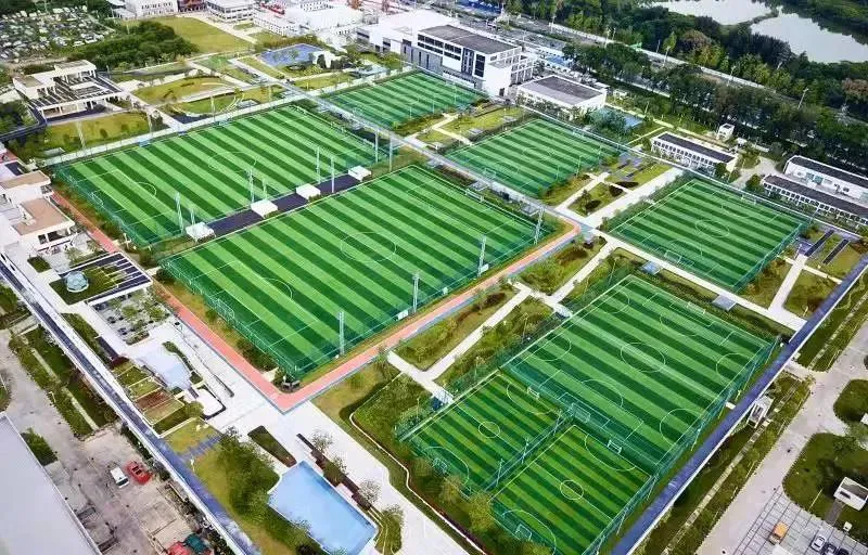 刻苦训练篮球时如何避免受伤的建议_2